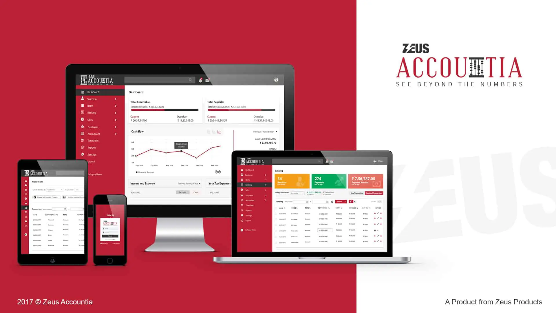 Accounting Software