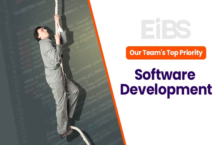 business software development