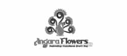 Angara Flowers