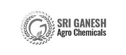 Sri Ganesh Agro Logo