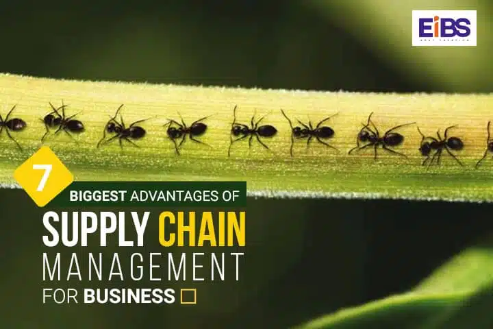 Business Supply Chain – 7 Biggest Advantages of Supply Chain Management
