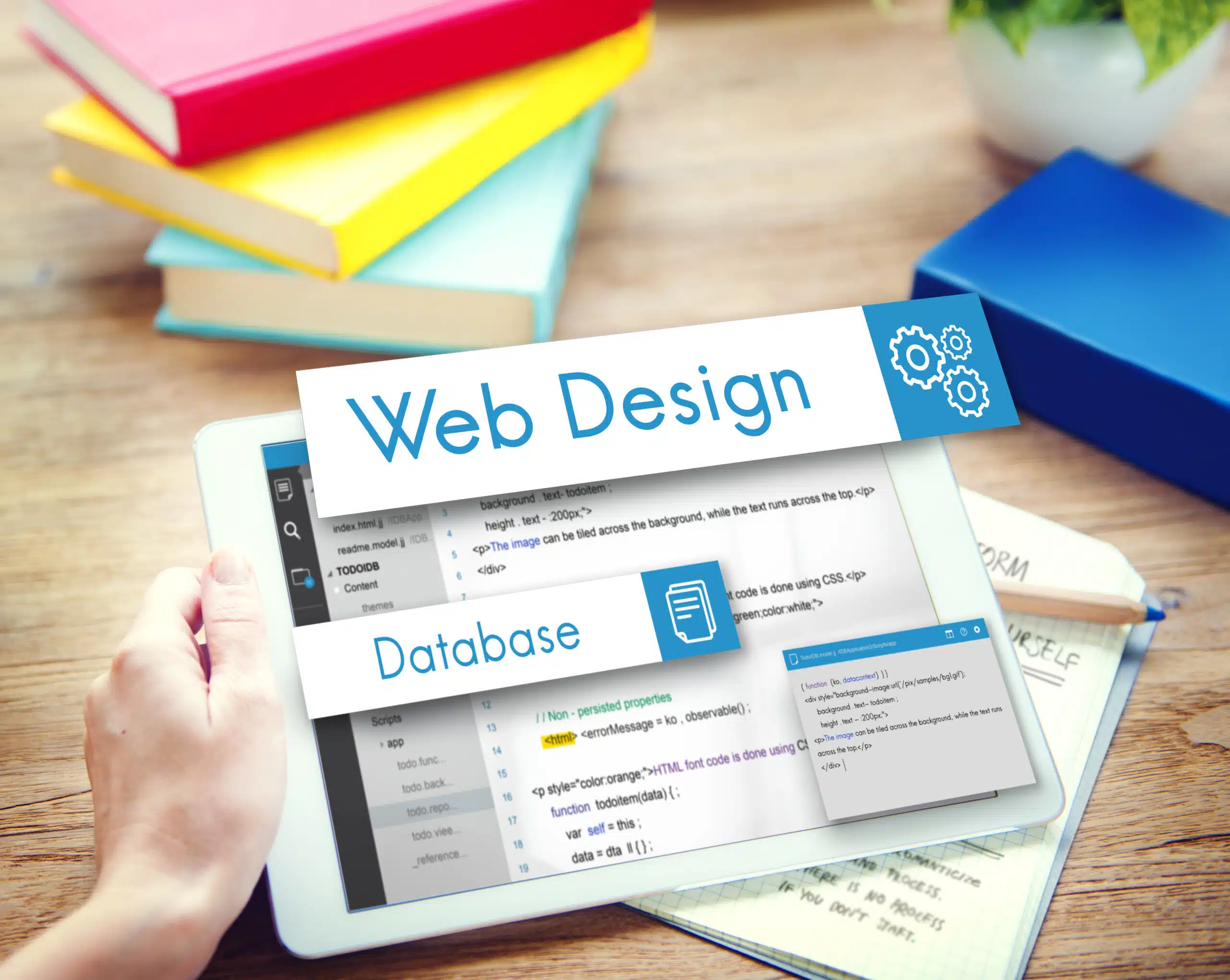Web Design & Development Services